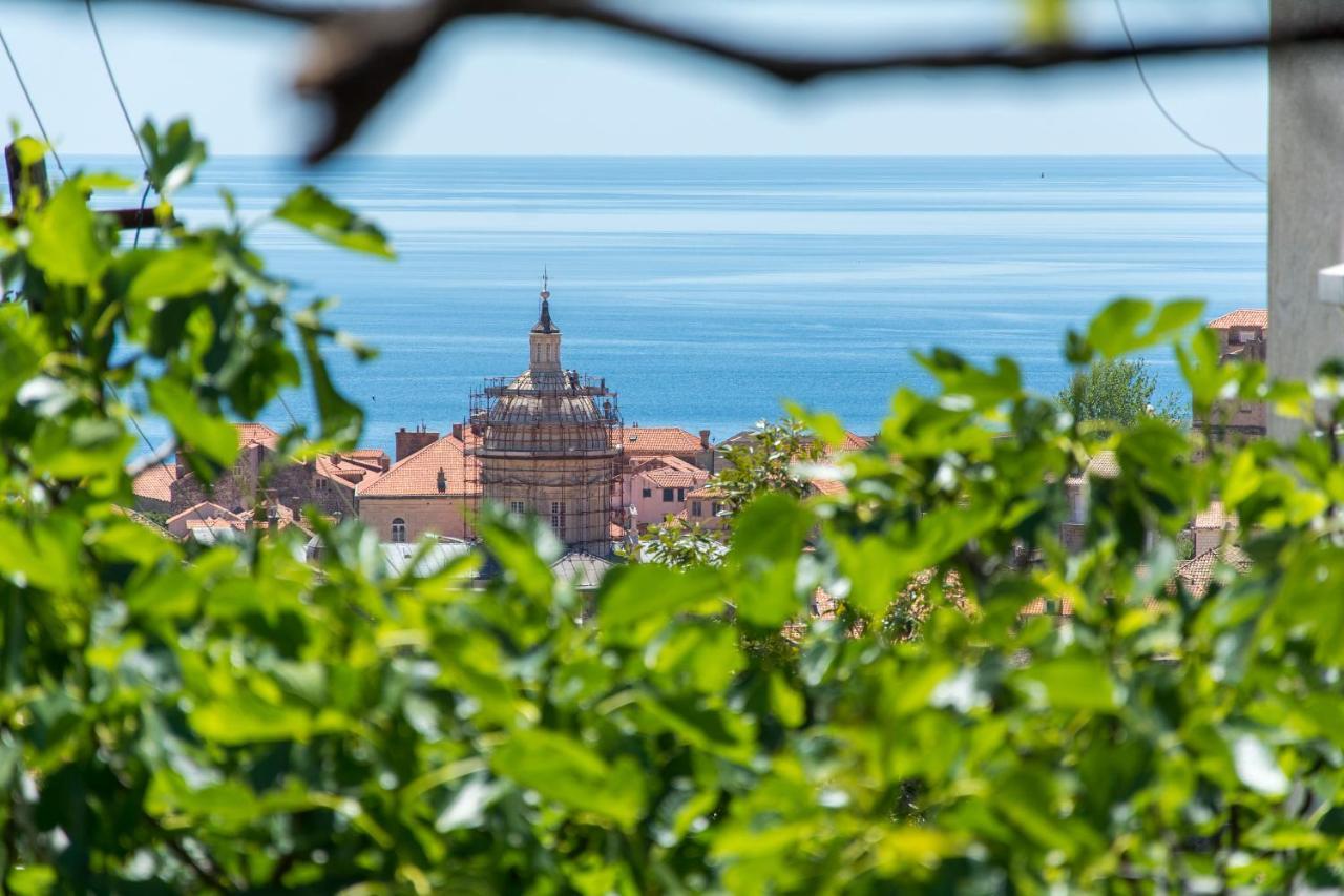 Milka-sea View In Center Dubrovnik
